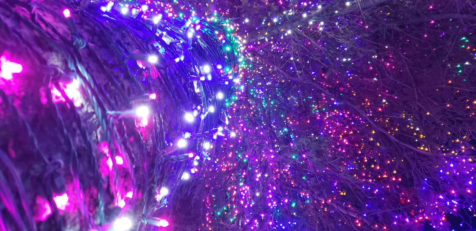 31 000 lumières en hommage à chaque citoyen de St-Georges