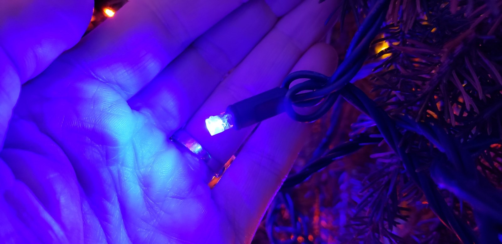31 000 lumières en hommage à chaque citoyen de St-Georges