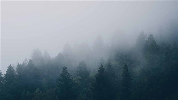 Le smog et ses effets