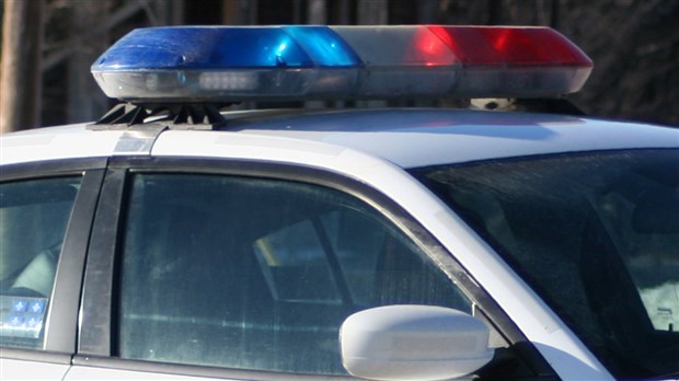 Bilan des activités policières : Vol de gâteaux et collisions matérielles