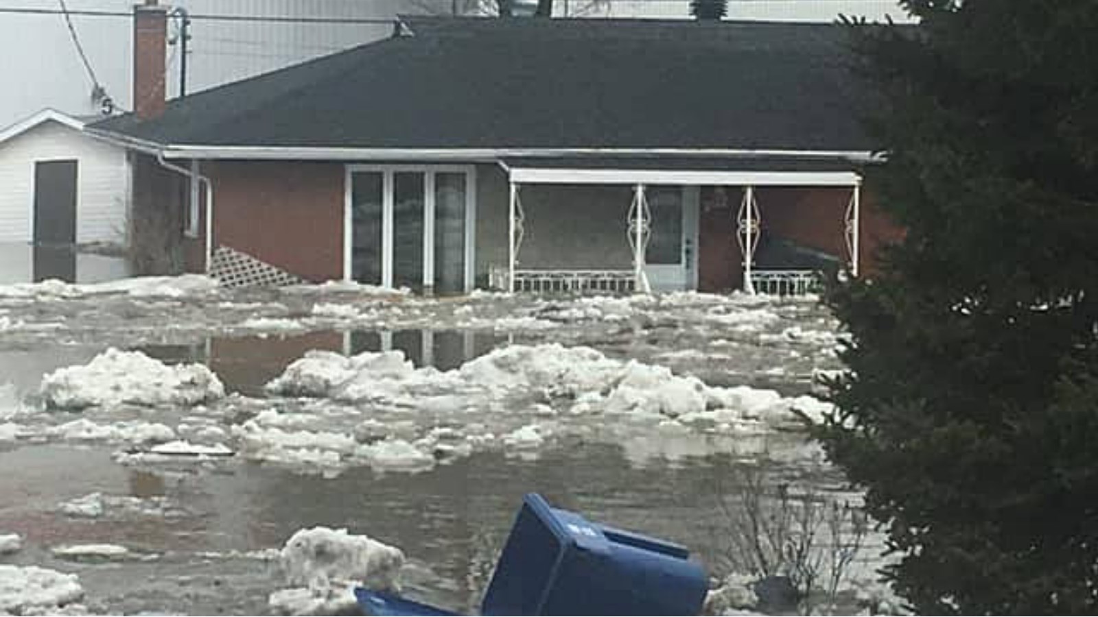 Les photos suivantes ont été prises dans le secteur de l'avenue Lambert.