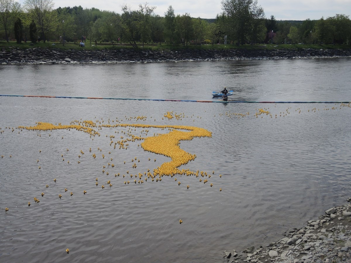 Le CNRB tient sa Grande course de canards Meubles & nous
