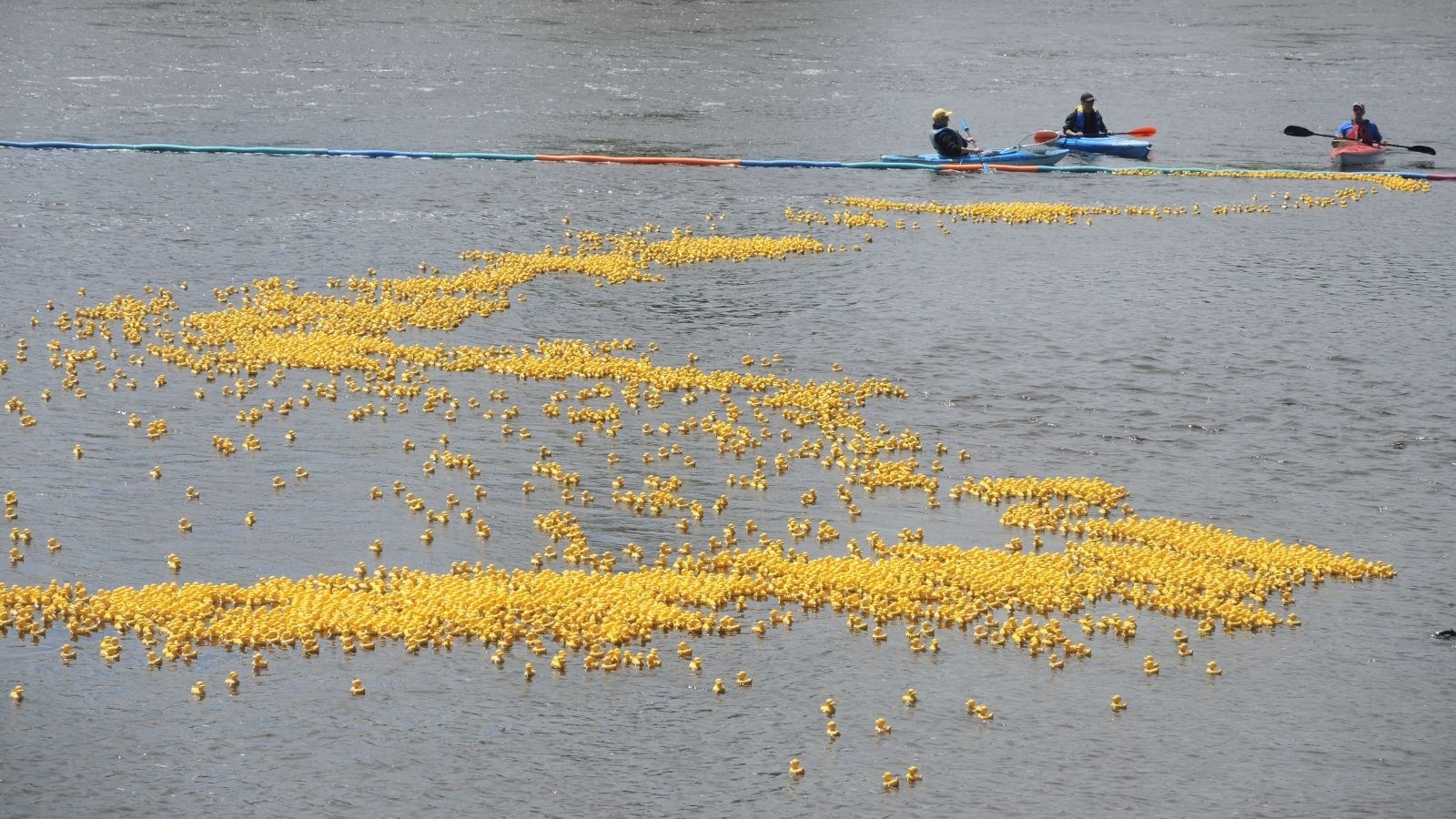 Le CNRB tient sa Grande course de canards Meubles & nous