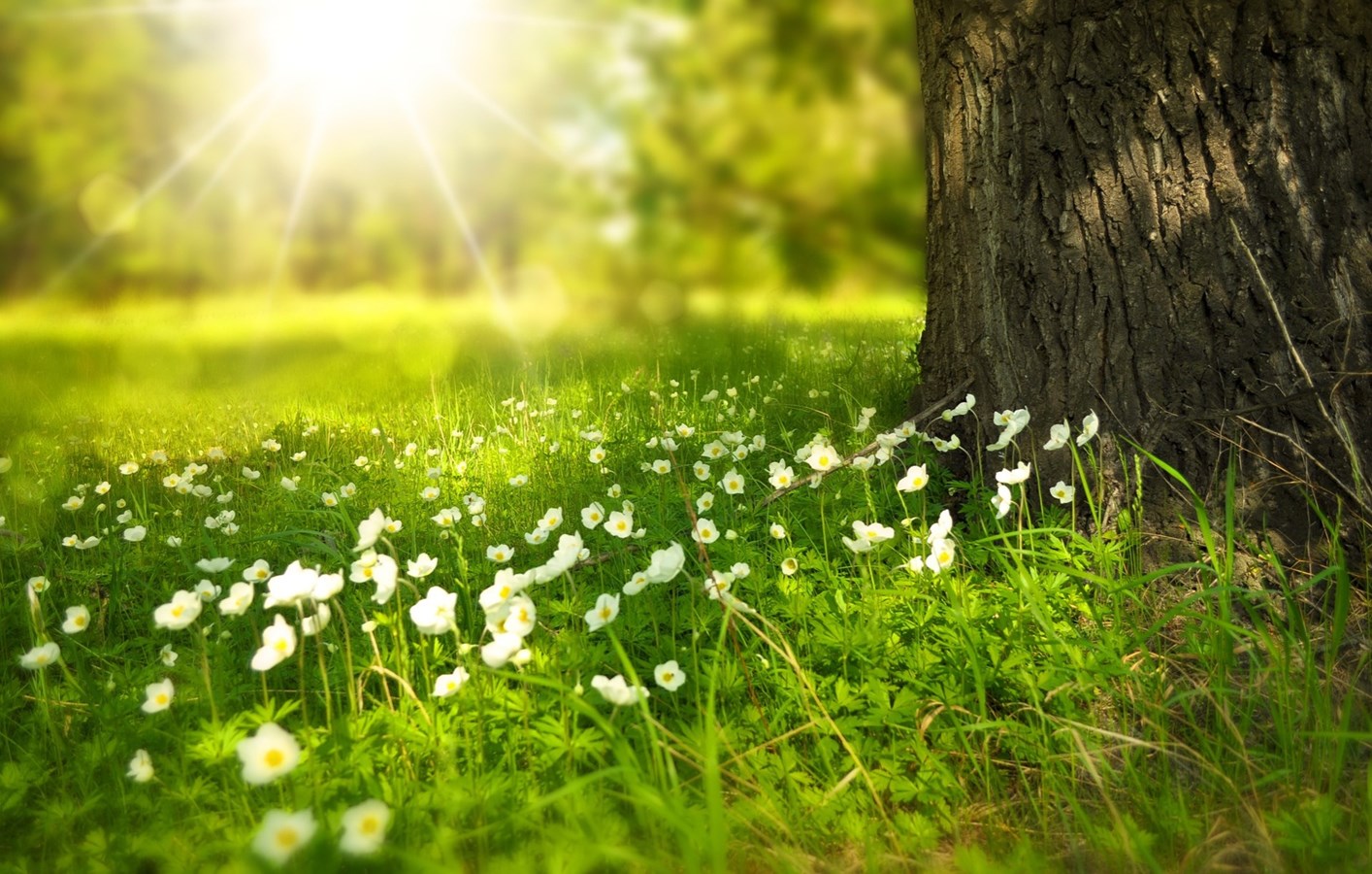 Bilan météo du mois de juillet : soleil et chaleur ! 