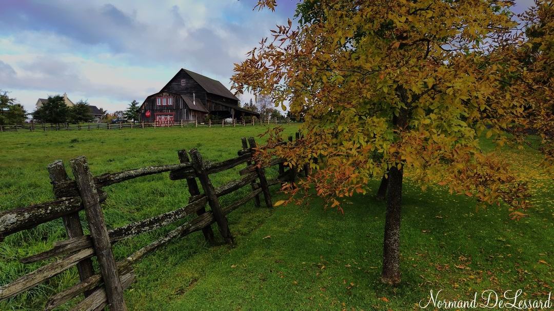 Normand DeLessard présente l'automne 2019 en Beauce