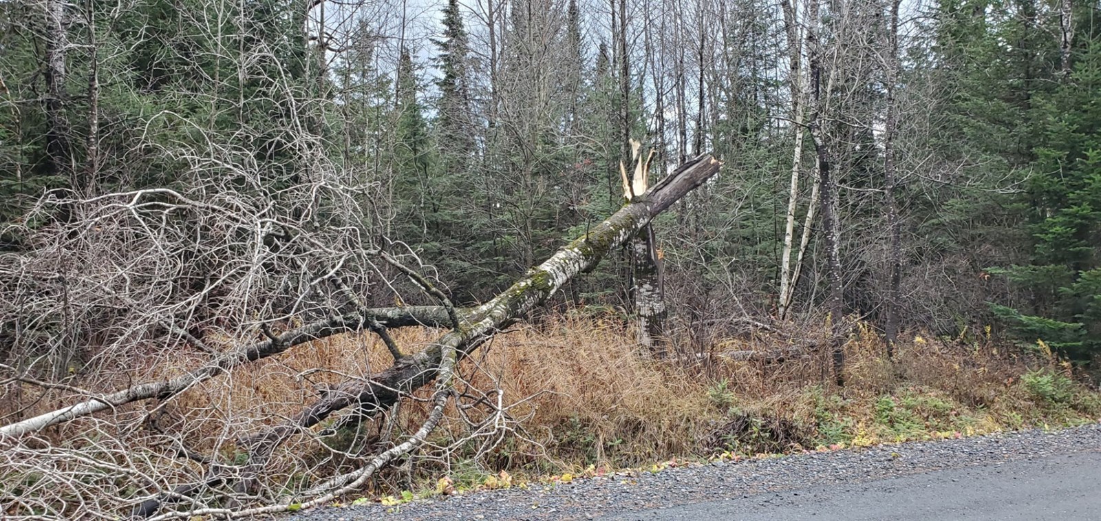 Une partie de la route s'affaisse dans le secteur de Cumberland