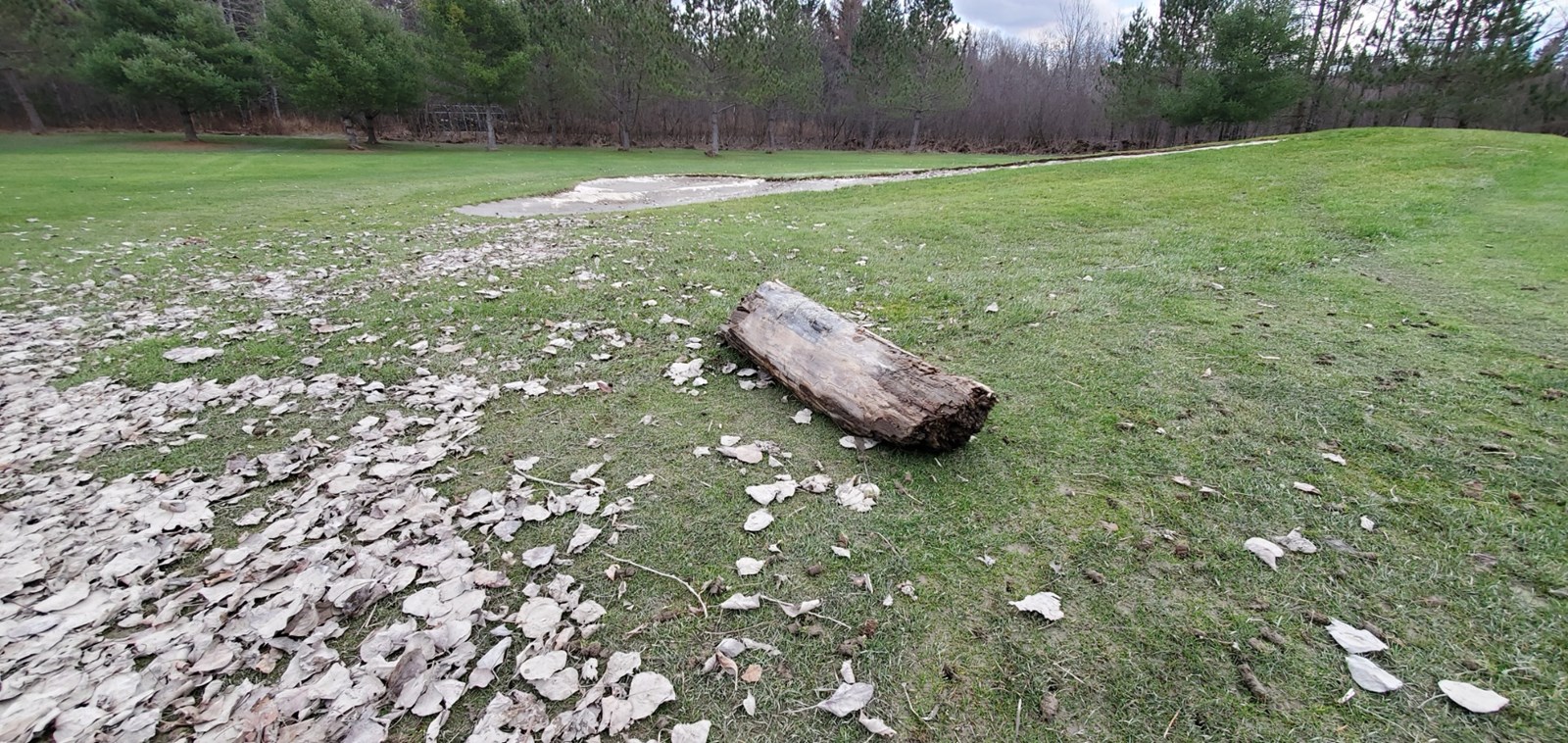 Photo-reportage : les dégâts au Club de golf Saint-Georges
