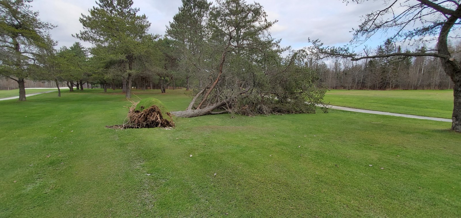 Photo-reportage : les dégâts au Club de golf Saint-Georges