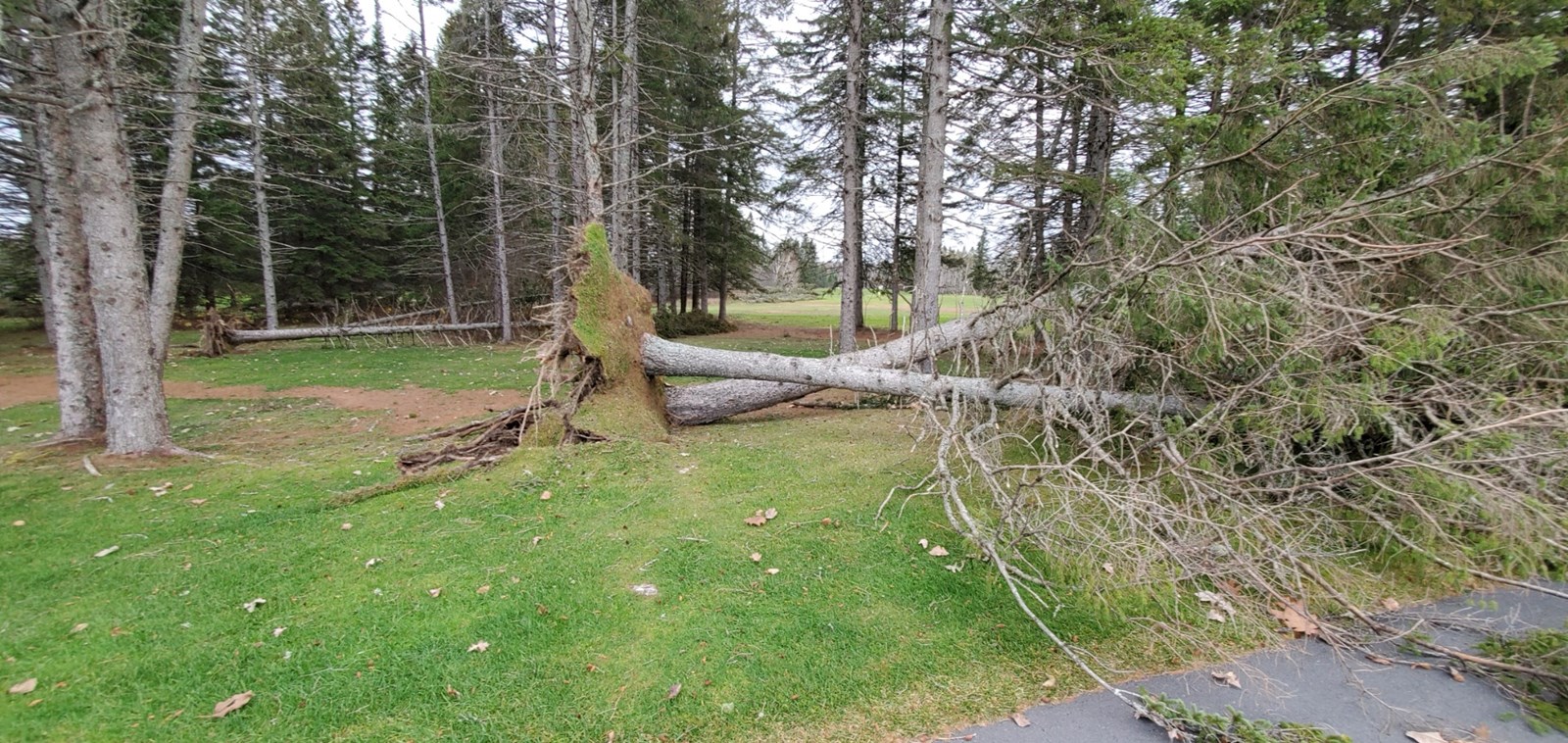 Photo-reportage : les dégâts au Club de golf Saint-Georges