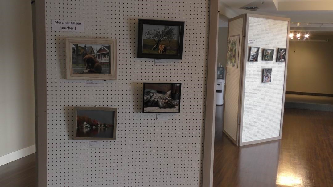 Normand DeLessard présente l'Expo art mixte