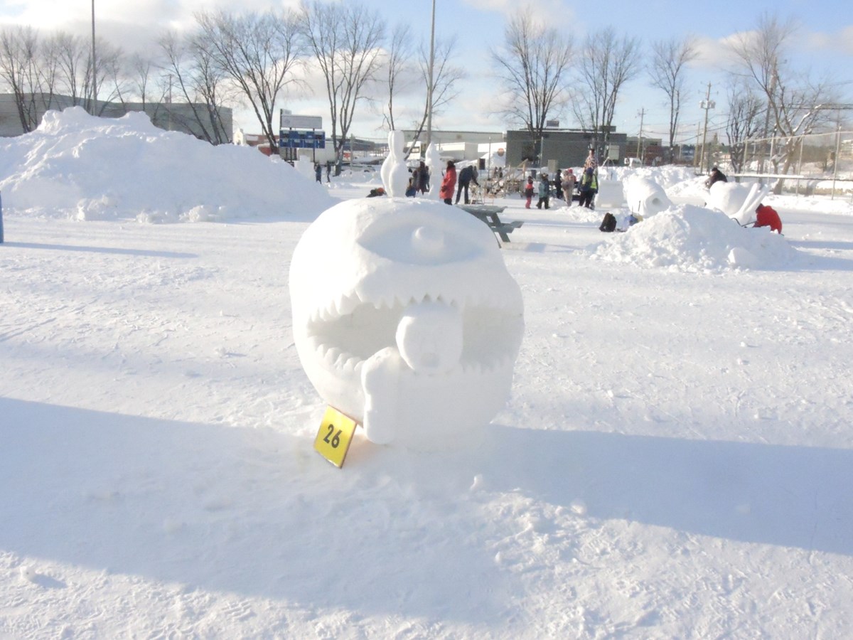 Le froid glacial n'a pas eu raison de l'élan créatif des sculpteurs