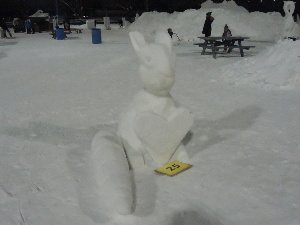 Le froid glacial n'a pas eu raison de l'élan créatif des sculpteurs
