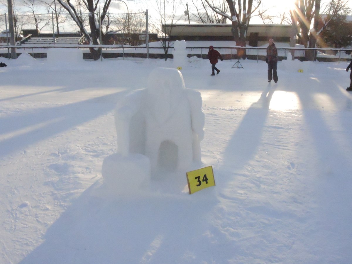 Le froid glacial n'a pas eu raison de l'élan créatif des sculpteurs