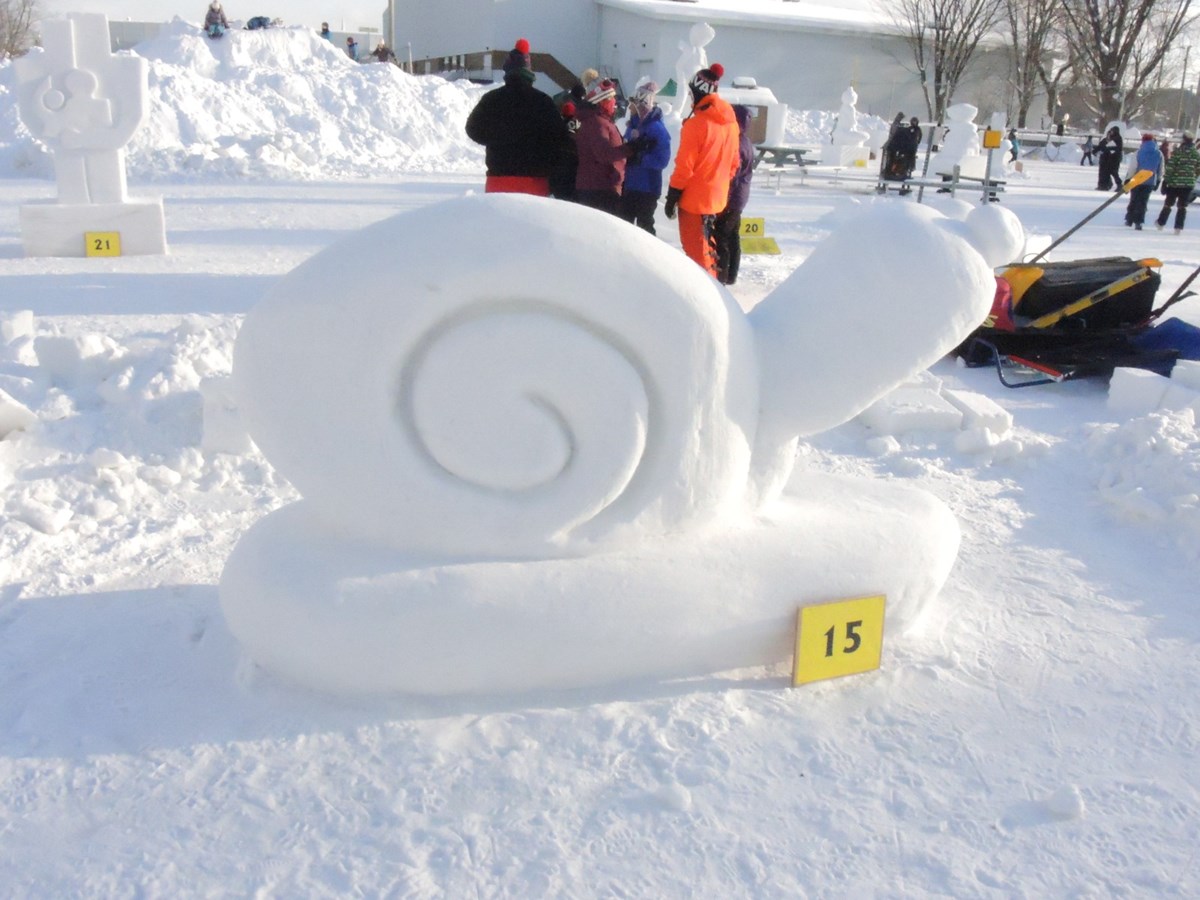 Le froid glacial n'a pas eu raison de l'élan créatif des sculpteurs