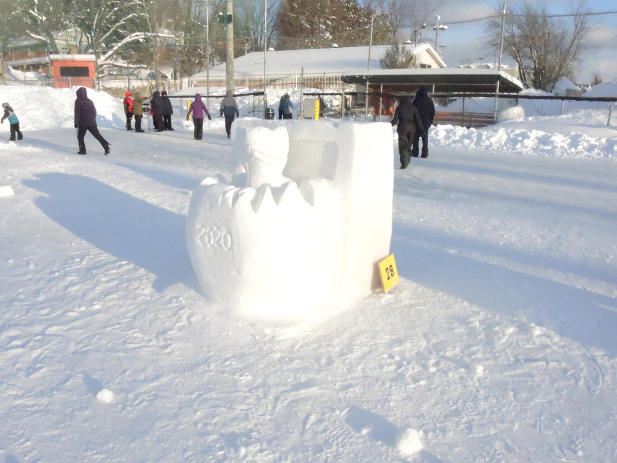 Le froid glacial n'a pas eu raison de l'élan créatif des sculpteurs