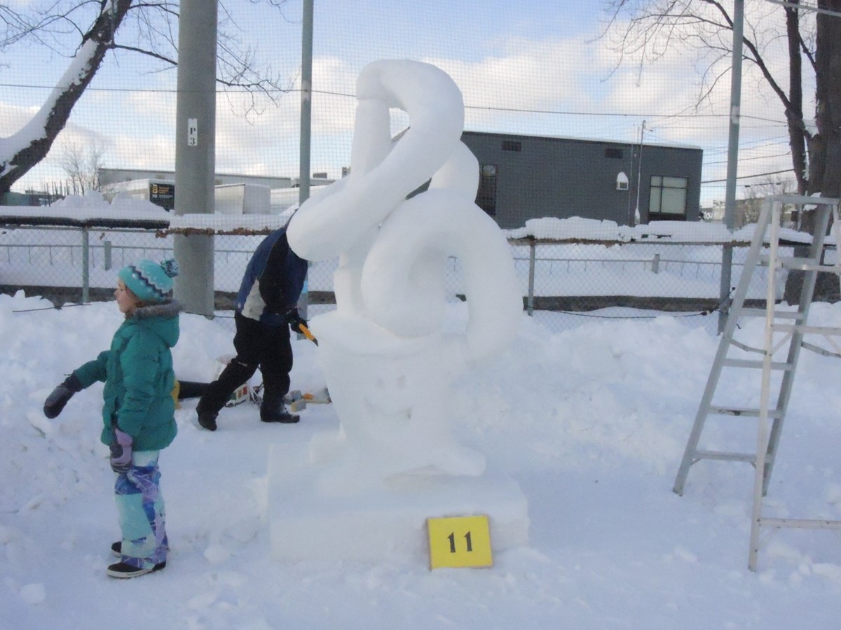 Le froid glacial n'a pas eu raison de l'élan créatif des sculpteurs