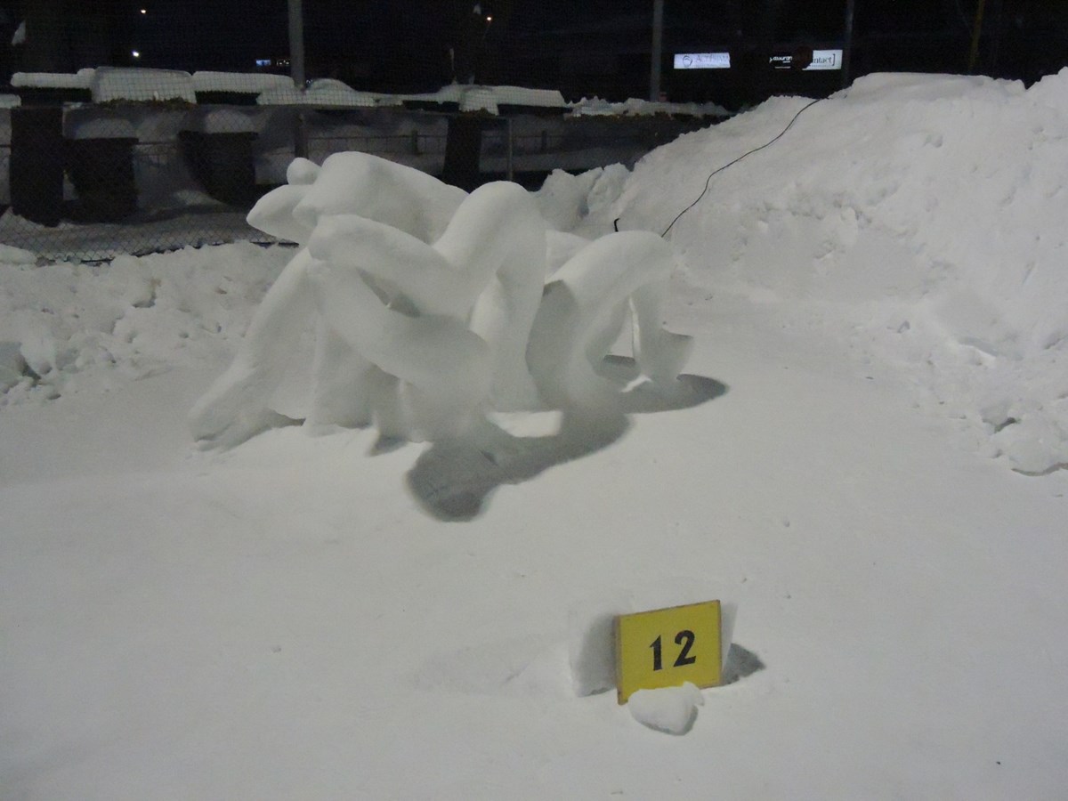 Le froid glacial n'a pas eu raison de l'élan créatif des sculpteurs