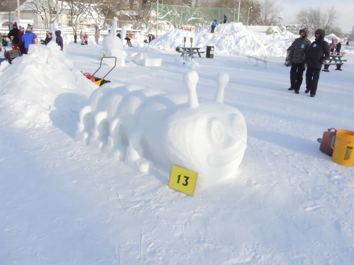Le froid glacial n'a pas eu raison de l'élan créatif des sculpteurs