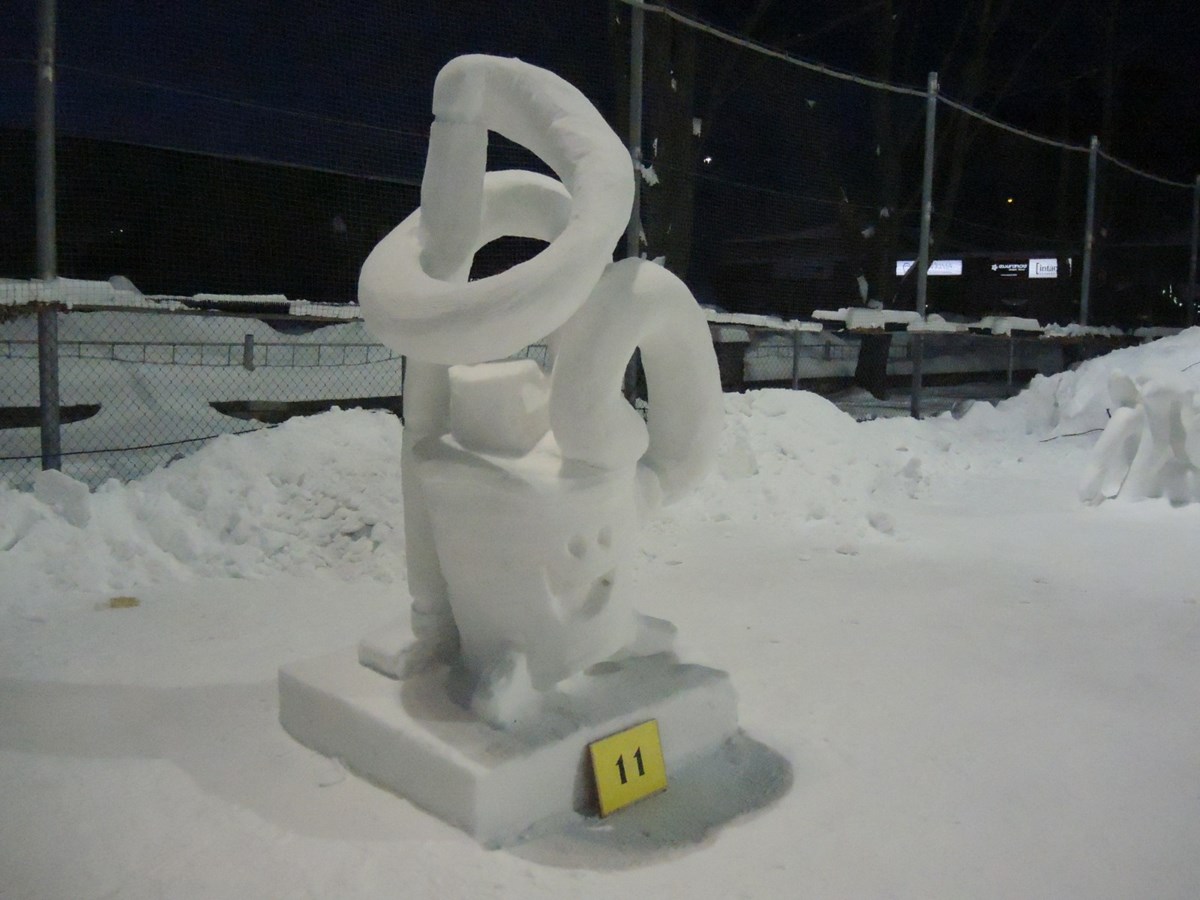 Le froid glacial n'a pas eu raison de l'élan créatif des sculpteurs