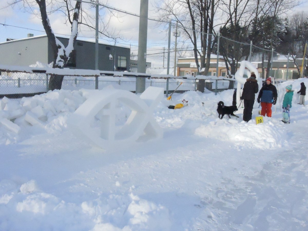 Le froid glacial n'a pas eu raison de l'élan créatif des sculpteurs