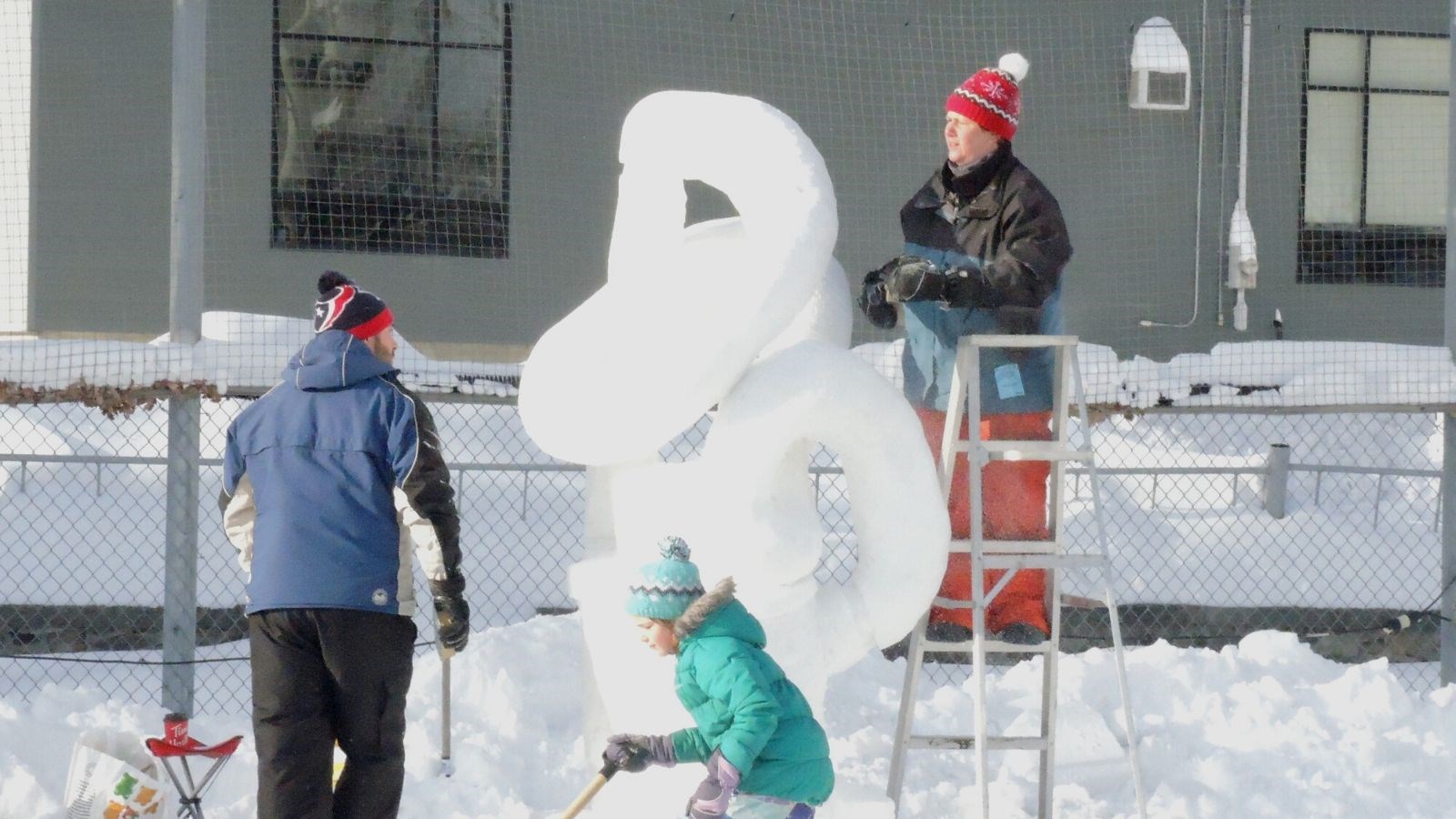 Le froid glacial n'a pas eu raison de l'élan créatif des sculpteurs
