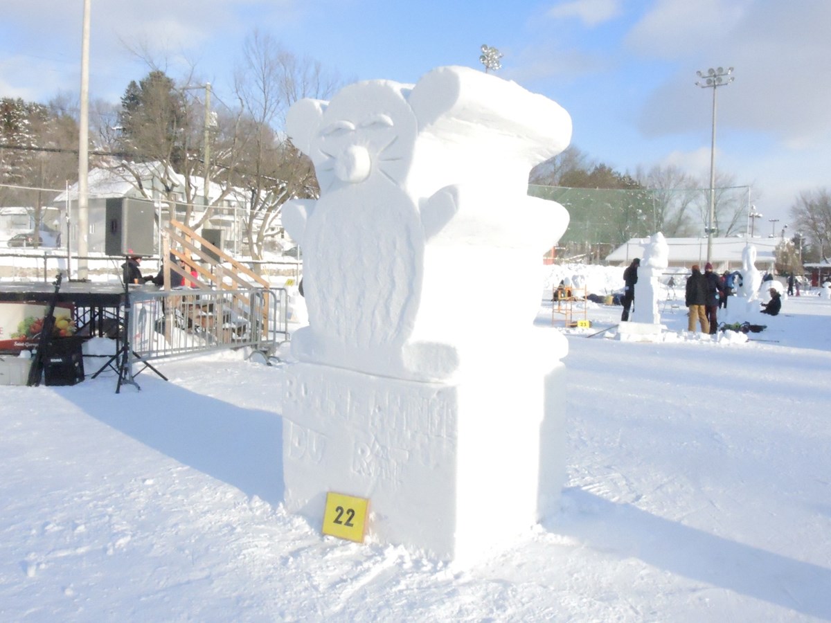 Le froid glacial n'a pas eu raison de l'élan créatif des sculpteurs