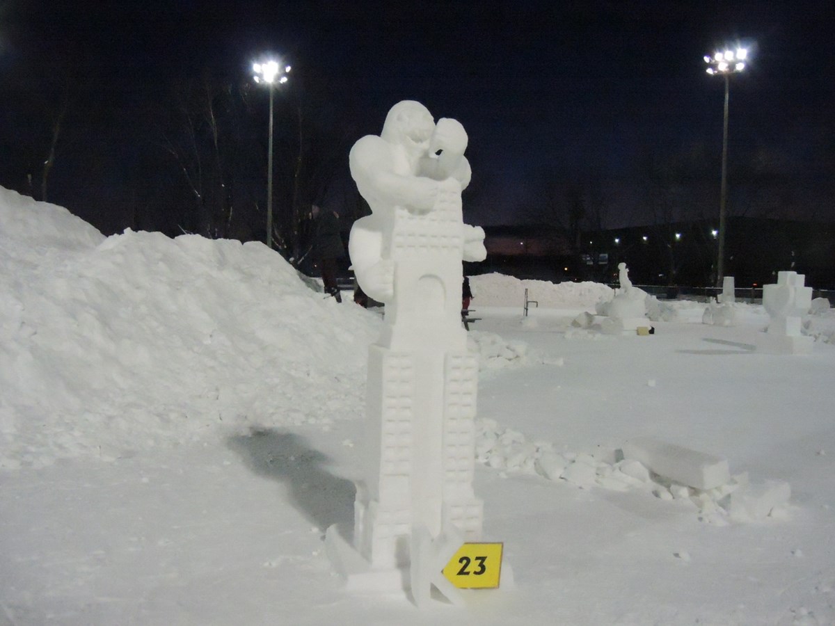 Le froid glacial n'a pas eu raison de l'élan créatif des sculpteurs