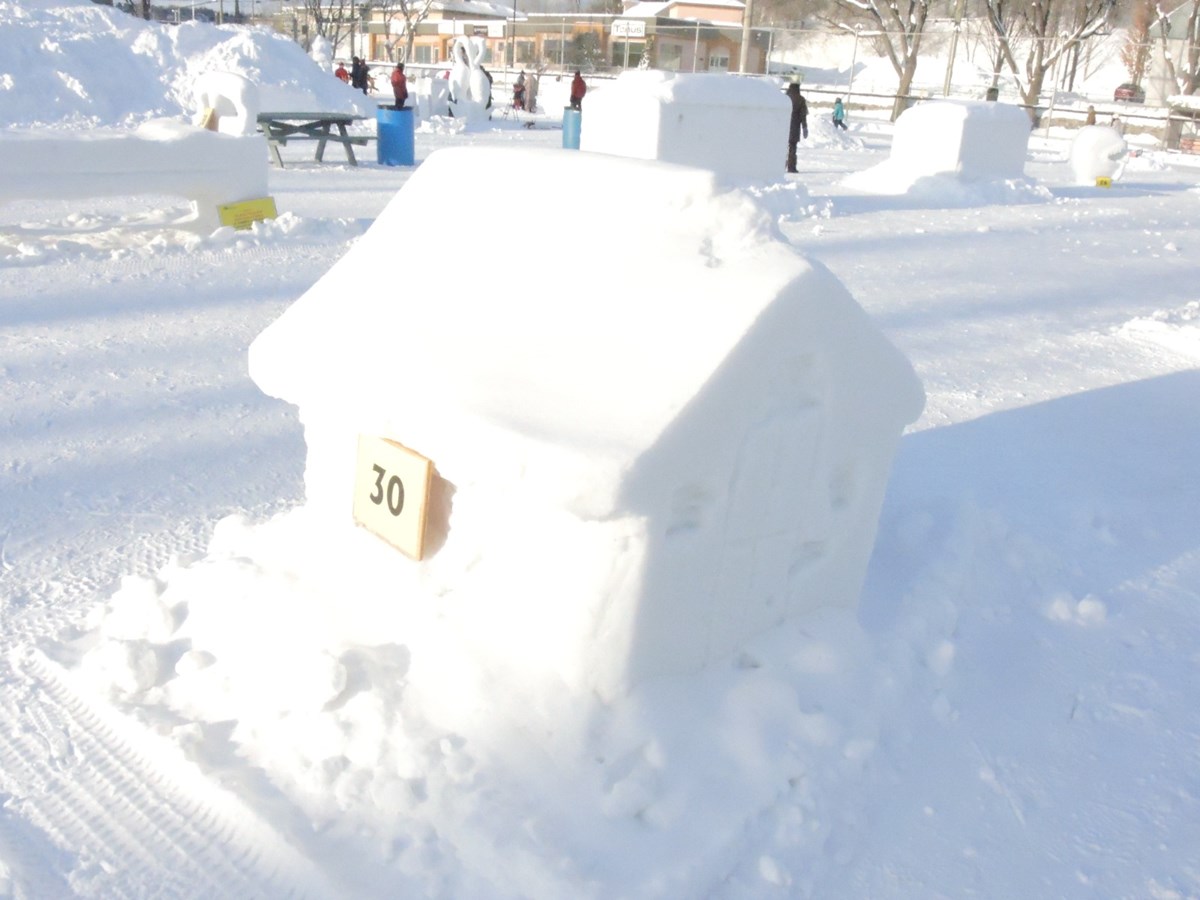 Le froid glacial n'a pas eu raison de l'élan créatif des sculpteurs