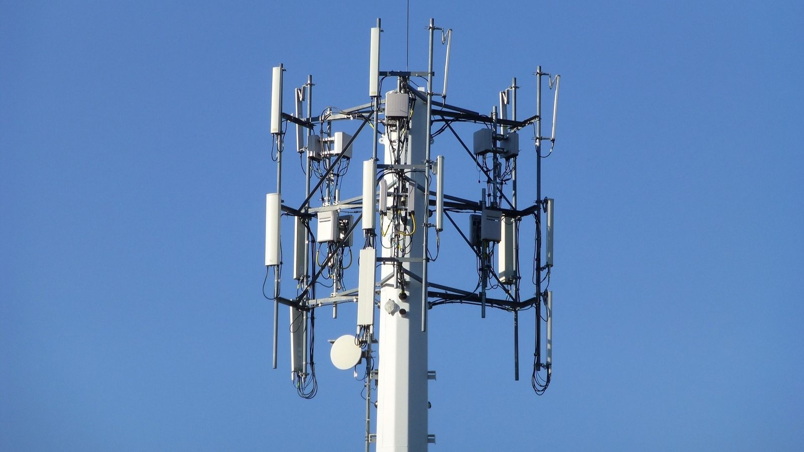 L'utilisation du cellulaire sera possible à Saint-Honoré-de-Shenley