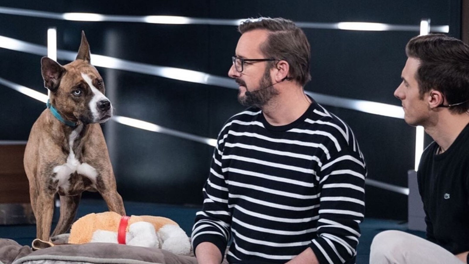 Le comédien Rémi-Pierre Paquin en compagnie de Buddy durant le tournage