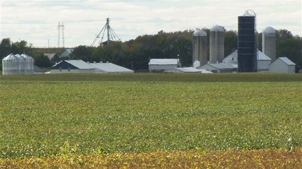 Le député fédéral de Beauce considère le secteur agricole comme infrastructure essentielle