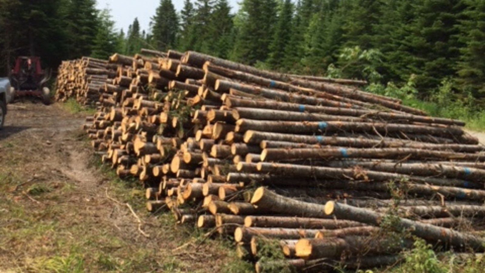 Producteurs de bois: prudence avant de lancer un chantier