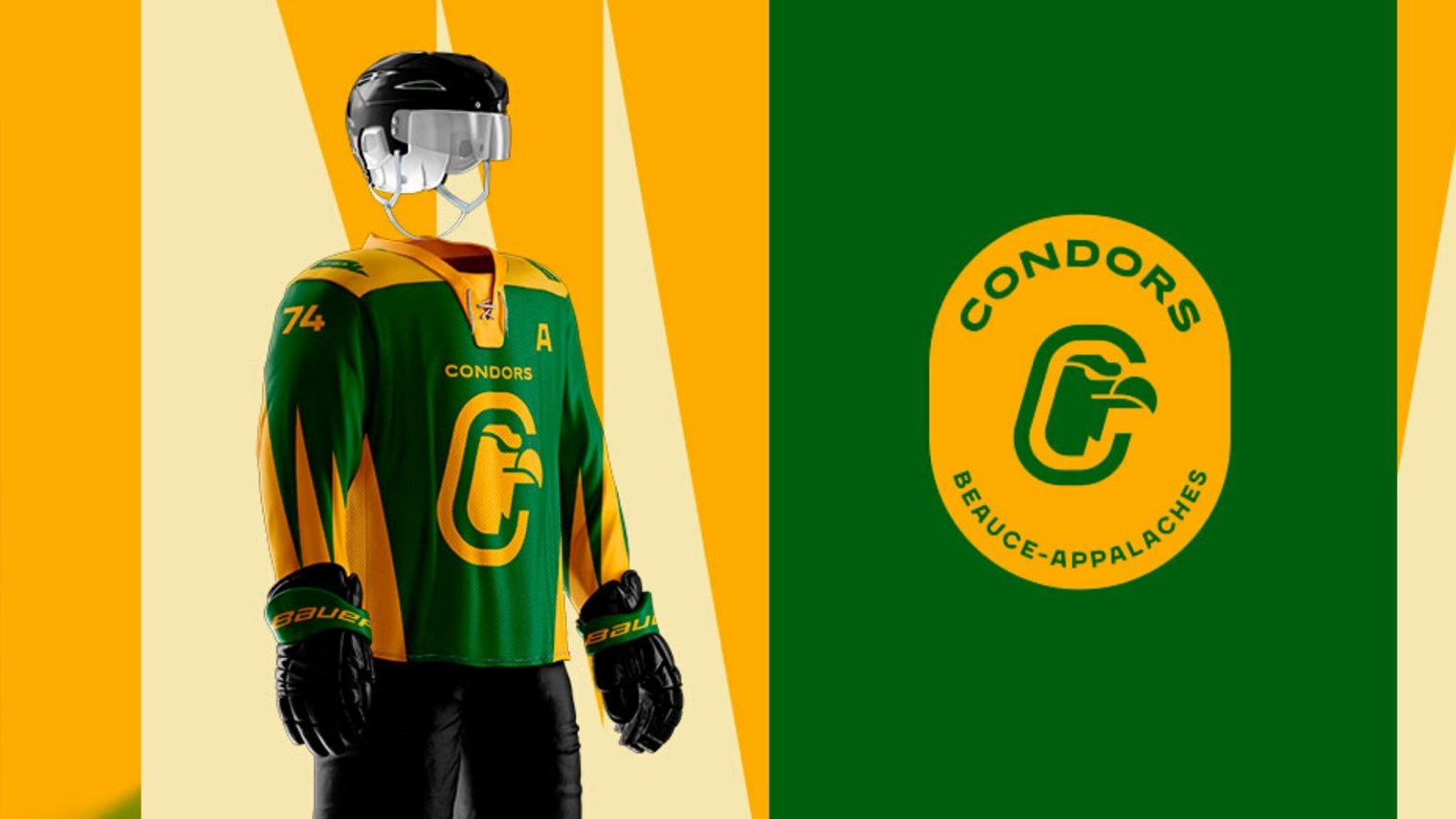 Devenez une famille de pension pour l’équipe de hockey junior AAA des Condors