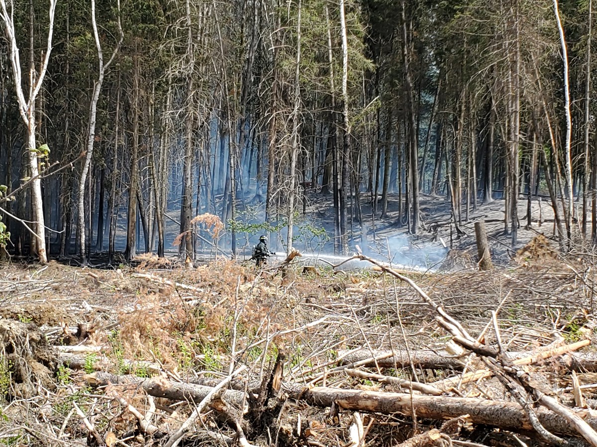 Dernière heure: feu de forêt dans le secteur de Jersey Mills