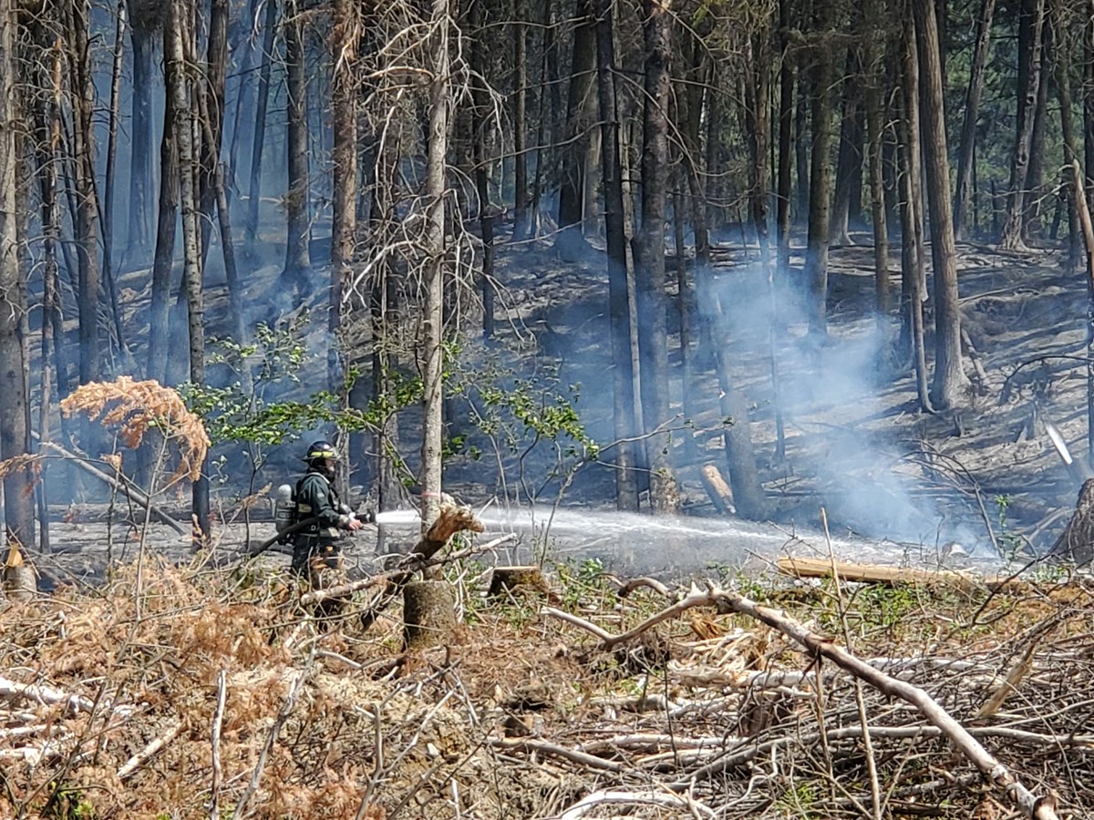 Dernière heure: feu de forêt dans le secteur de Jersey Mills