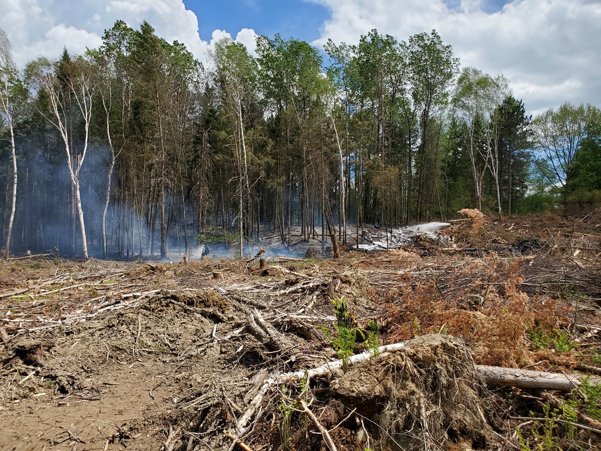 Dernière heure: feu de forêt dans le secteur de Jersey Mills