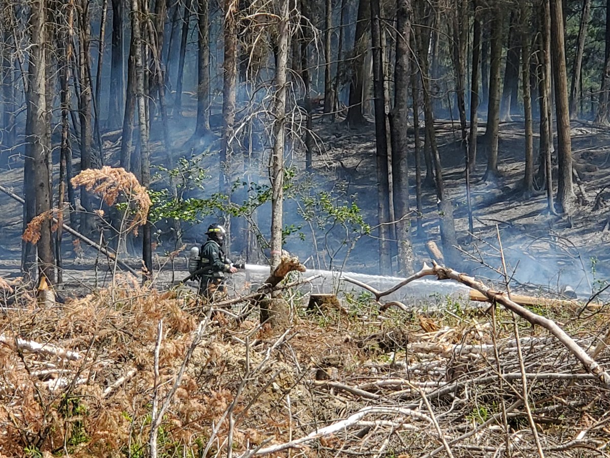Dernière heure: feu de forêt dans le secteur de Jersey Mills