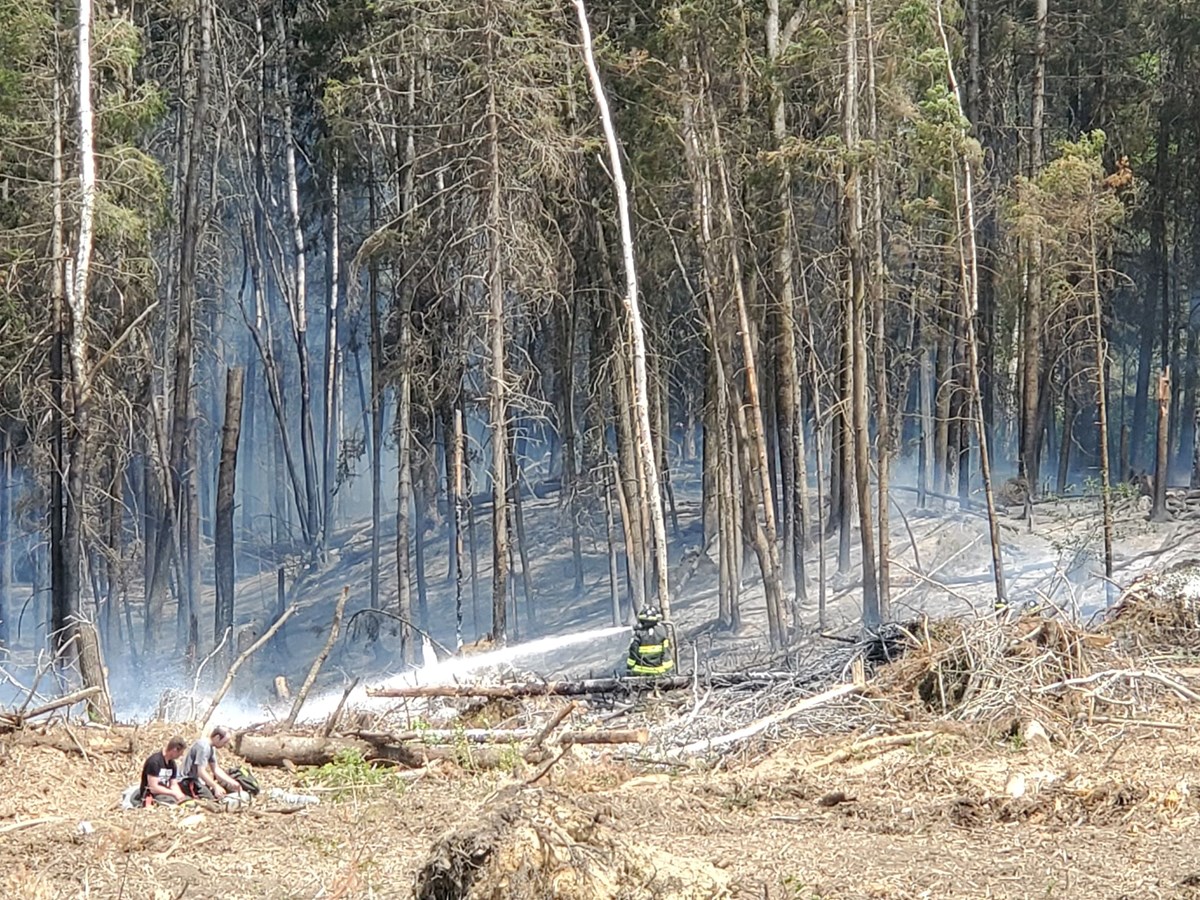 Dernière heure: feu de forêt dans le secteur de Jersey Mills