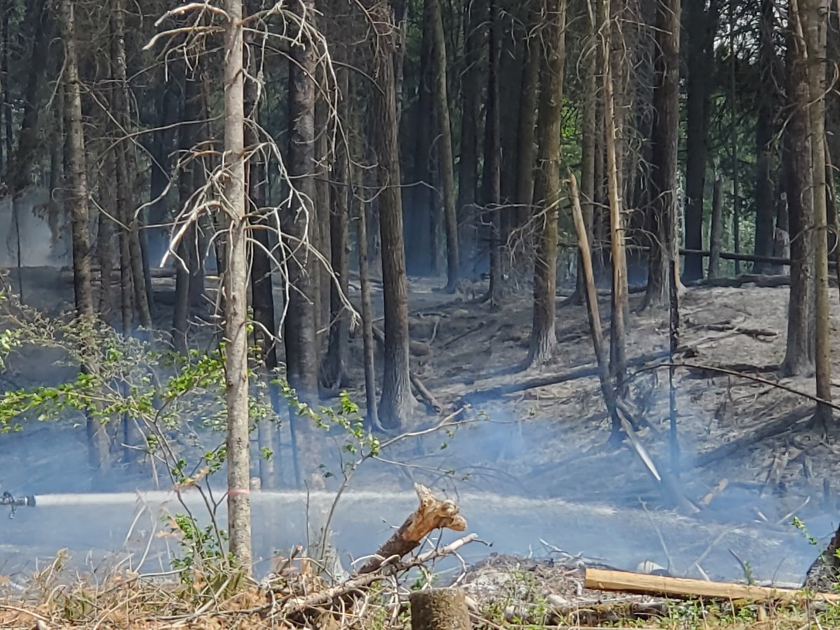 Dernière heure: feu de forêt dans le secteur de Jersey Mills