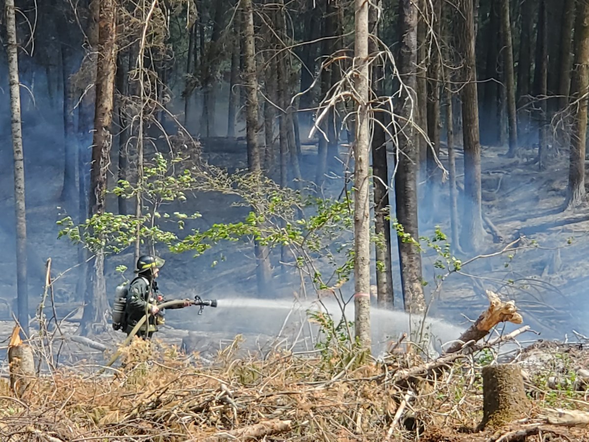 Dernière heure: feu de forêt dans le secteur de Jersey Mills
