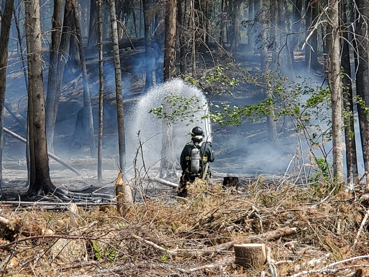 Dernière heure: feu de forêt dans le secteur de Jersey Mills