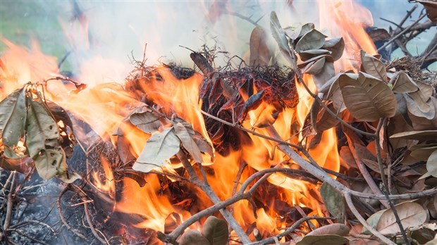 Interdiction de faire des feux à ciel ouvert en forêt ou à proximité