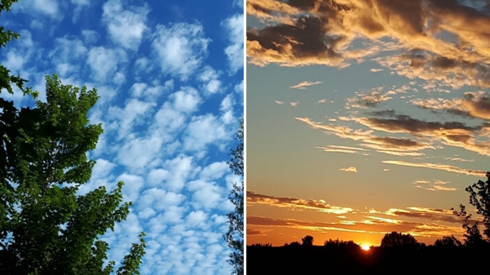 Galerie 2 : le ciel sous toutes ses formes 