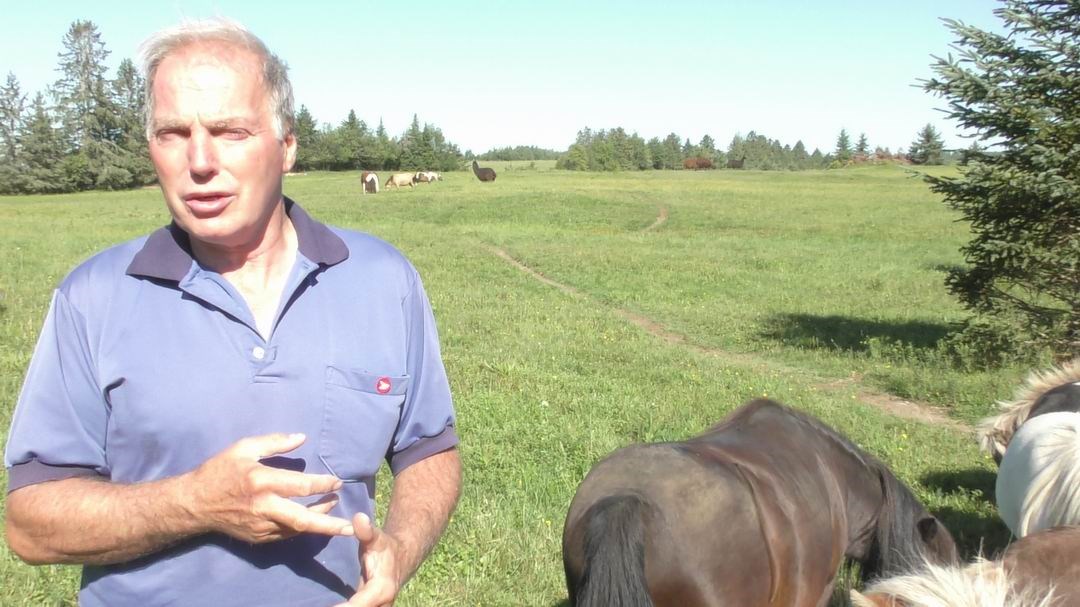 Normand DeLessard présente Guymont Labbé et sa passion pour les chevaux miniature