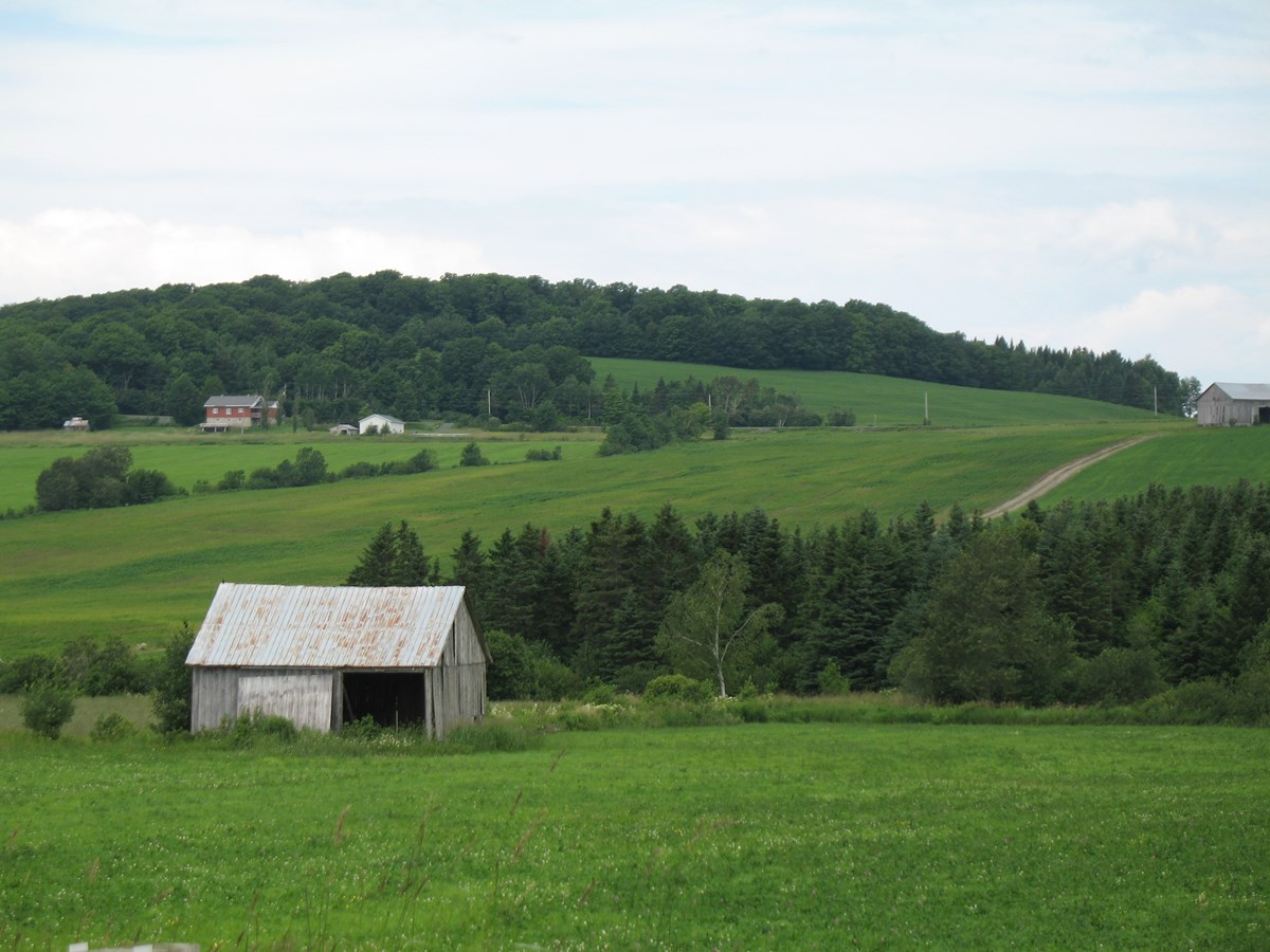 Route 276 Saint-Odilon