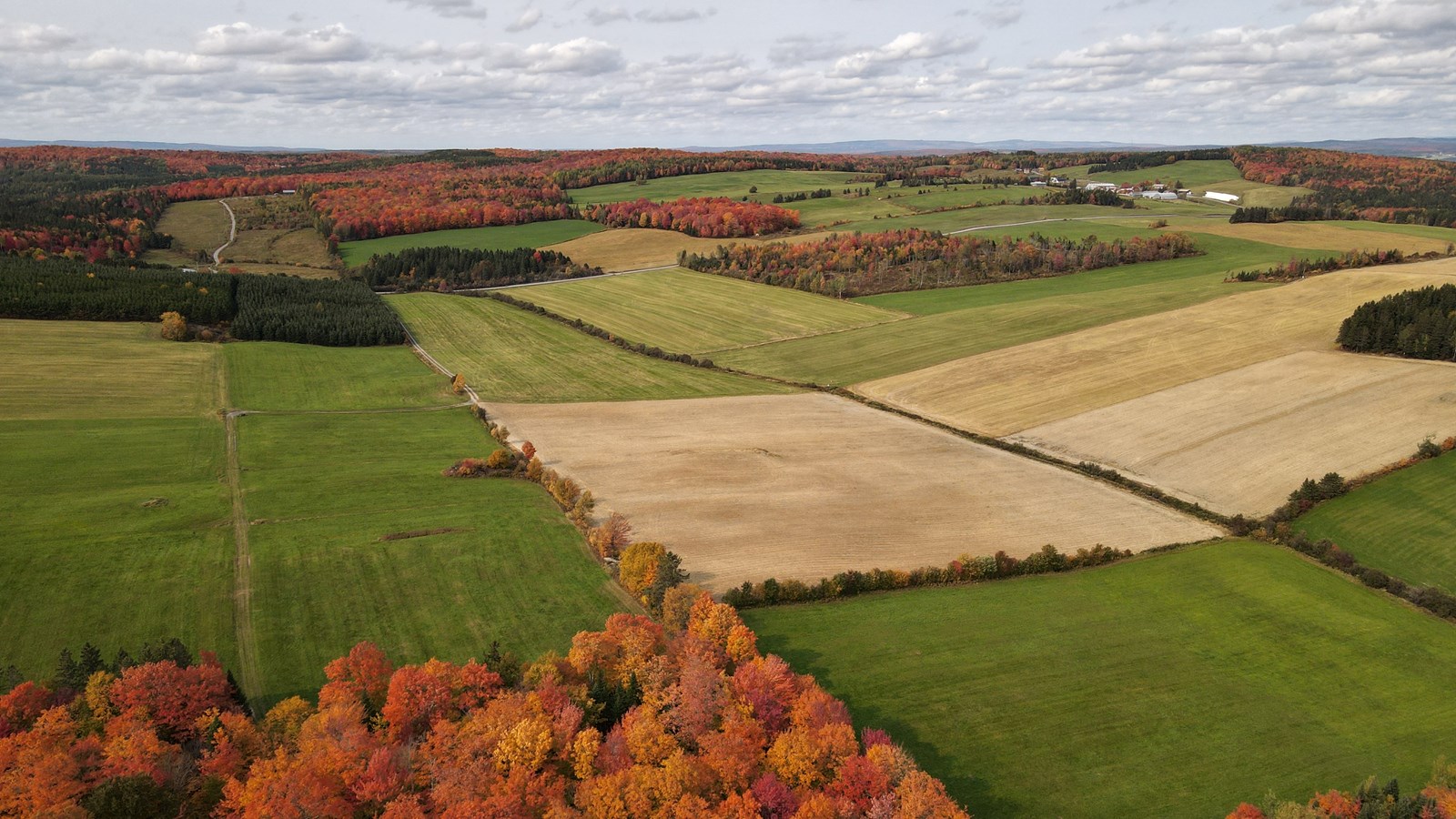 Captez-nous en photos la belle saison des couleurs — GALERIE 1