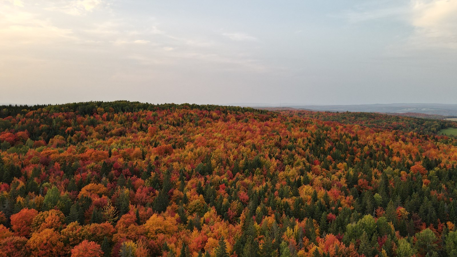 Captez-nous en photos la belle saison des couleurs — GALERIE 1