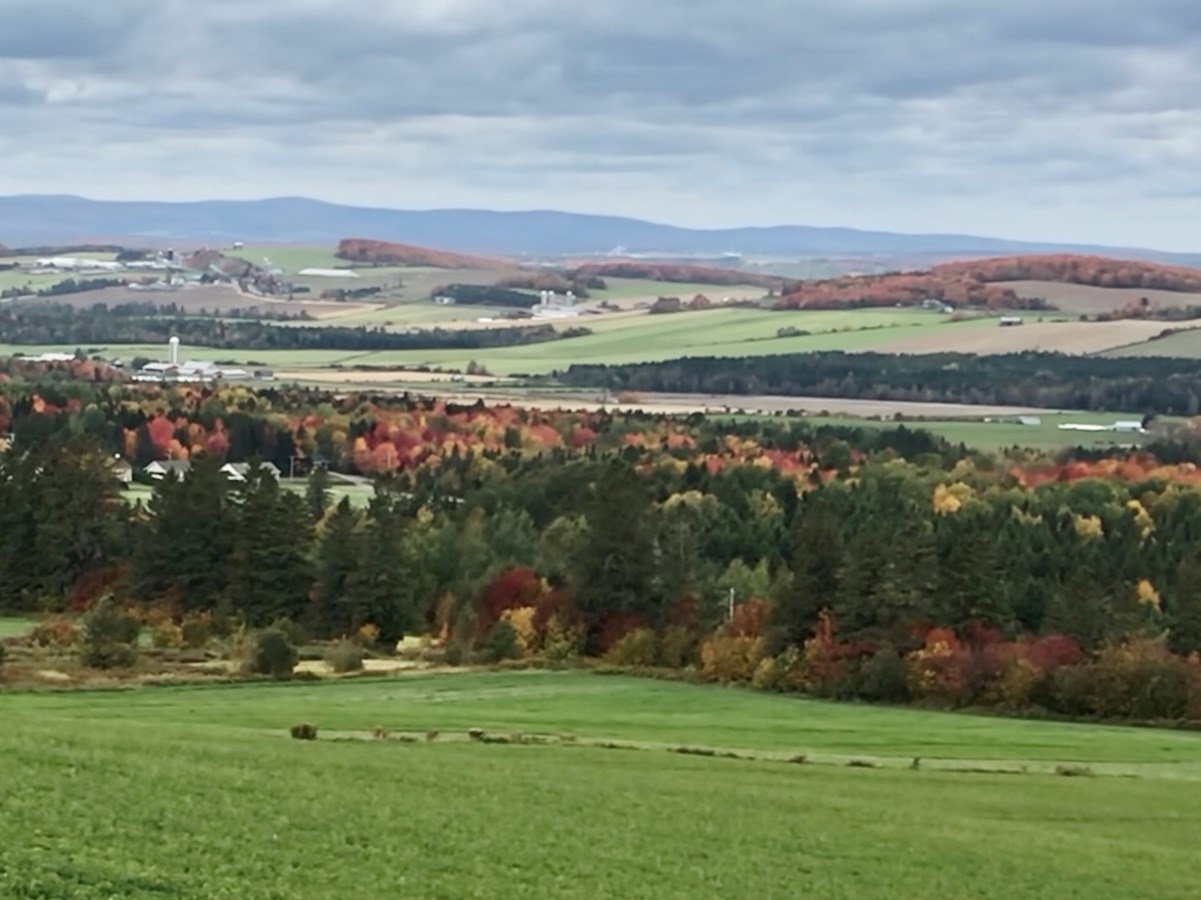 Saint-Odilon