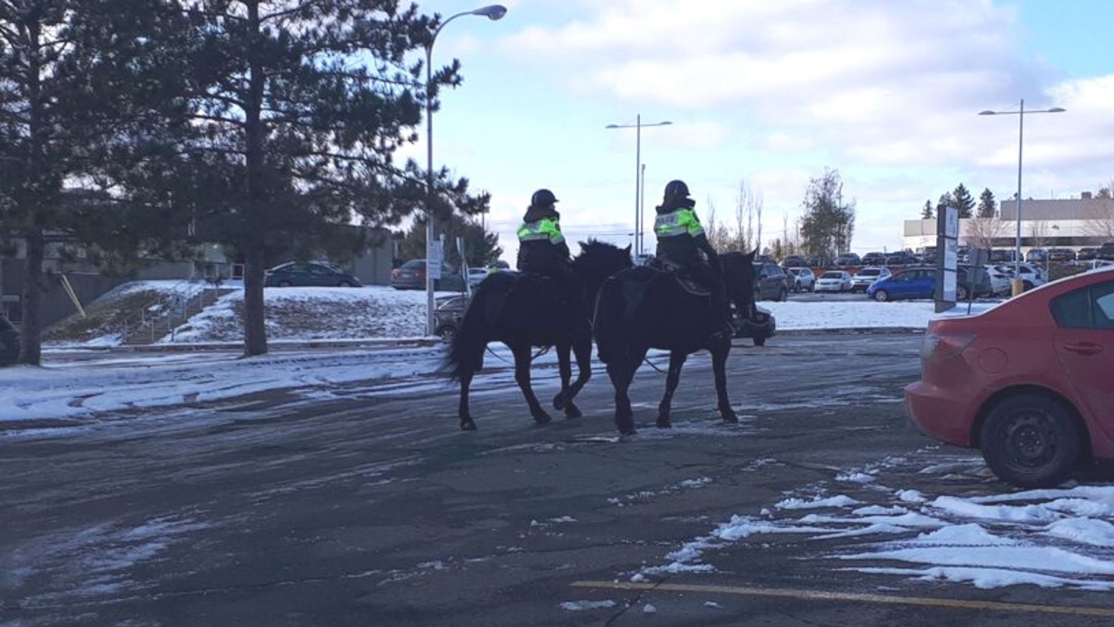 Une escouade équestre en visite à Saint-Georges