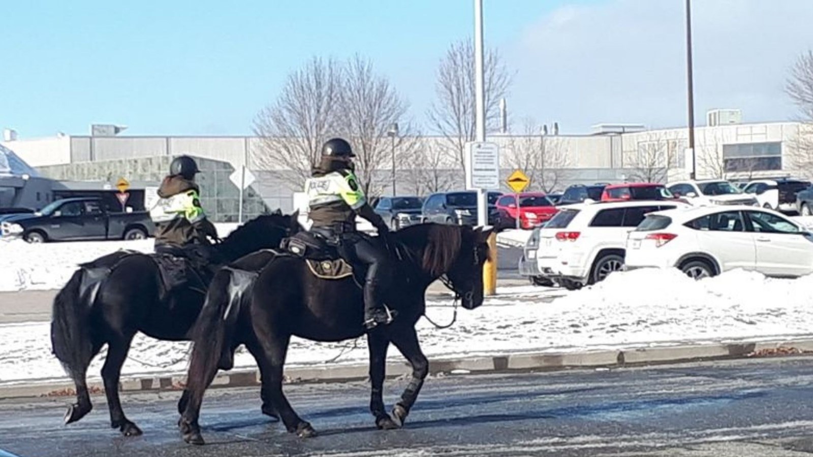 Une escouade équestre en visite à Saint-Georges